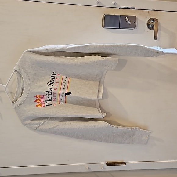 Champion Heathered Gray Florida State Seminoles Cropped Sweatshirt L Like New - Picture 2 of 8